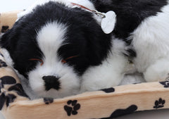 Catel interactiv cu cosulet, doarme, latra si da din coada, Sweet Petzzz, dimensiune 25 x 16cm, REC2960