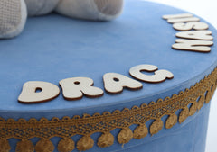 Cutie catifea transport trusou bleu cu Ursulet, REC3003