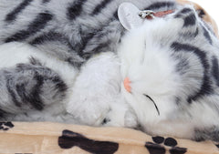 Pisica interactiva cu cosulet, doarme, miauna si da din coada, Sweet Petzzz, dimensiune 25 x 16cm, REC2962