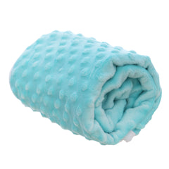 Paturica bleu, Minky dublata, cocolino-bumbac, pentru bebelusi, 75x75 cm, REC3113