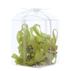 Marturii cruciulite pentru botez, set 20 bucati, funda verde olive, REC1968/63