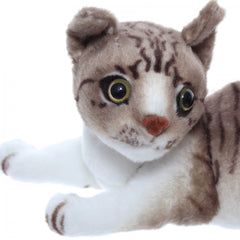 Jucarie de plus, Pisica multicolor cu sunet, 15x27x11 cm, Recostore, REC2313