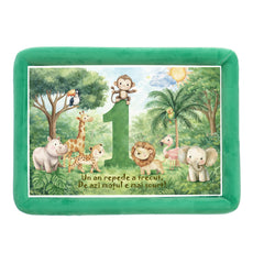 Tava mot baieti, aniversare 1 an, model Jungla, catifea verde, 10 piese, 34x25 cm, REC5011/49