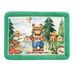 Tava mot baieti, aniversare 1 an, model Ursulet, catifea verde, 10 piese, 34x25 cm, REC5011/52